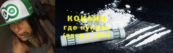 сатива Абинск